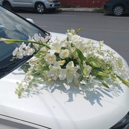 Decoracion de automovil, carro o camioneta