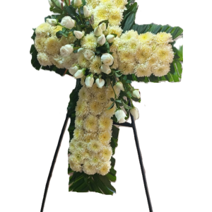 1778abf9 b2ce 4af3 8fb8 3eae99b00b94.png