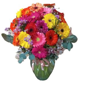 18 gerberas en florb.jpeg