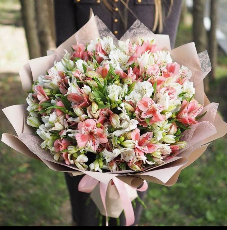 50 alstromerias.jpg 50 alstromerias.jpg