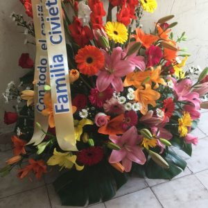 funeral de colores.jpg