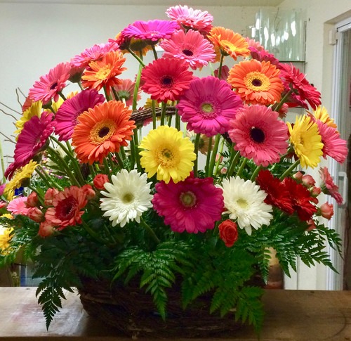 canasta de 50 gerberas.jpeg canasta de 50 gerberas.jpeg