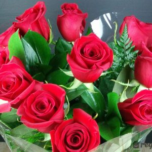 ramo 12 rosas rojas 01.jpg