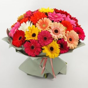ramo de 48 gerberas.jpeg