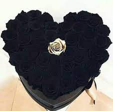 rosas negras 1 oro.jpg